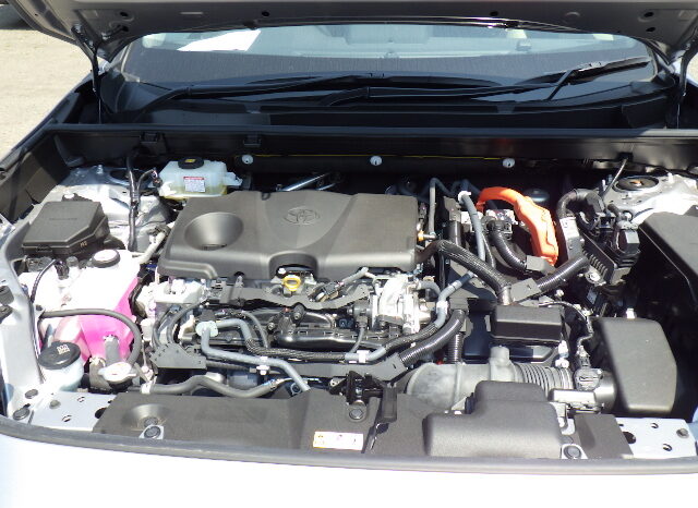 TOYOTA RAV4 HYBRID 4WD full